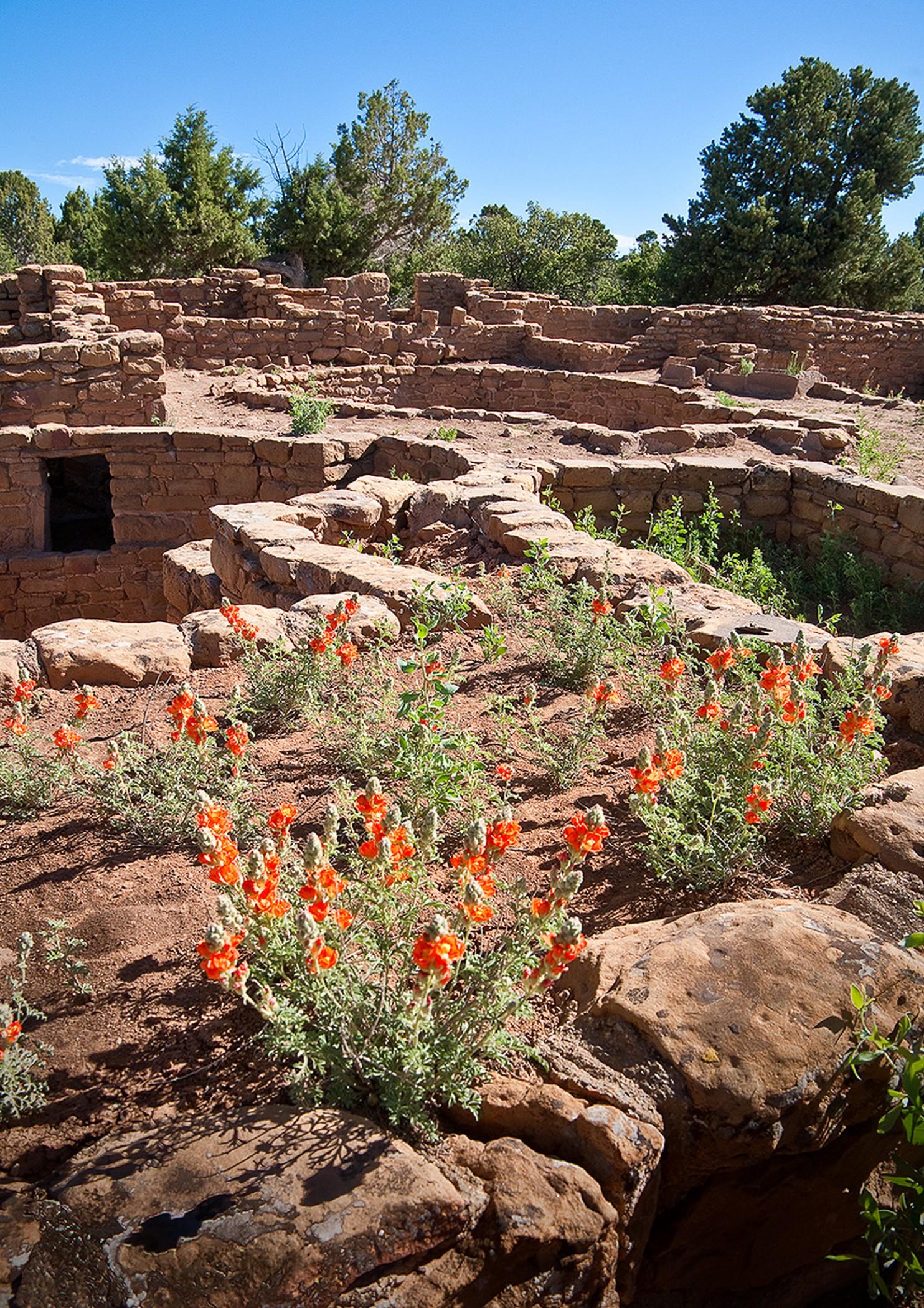 Far View Lodge Mesa Verde National Park Extérieur photo